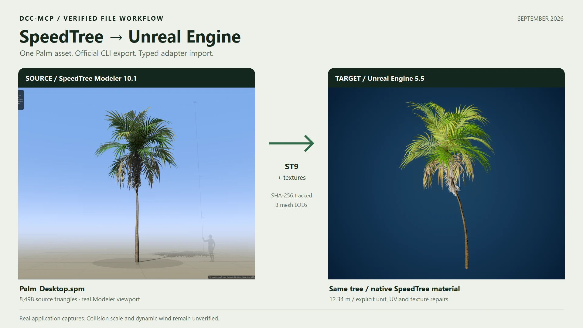 Real SpeedTree palm imported into Unreal Engine 5.5